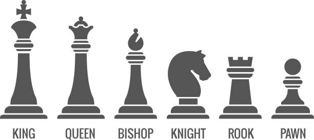 Named chess piece vector icons set Named chess piece vector. Icons set of chess figures queen and king, illustration rook pawn and knight for chess chess piece stock illustrations