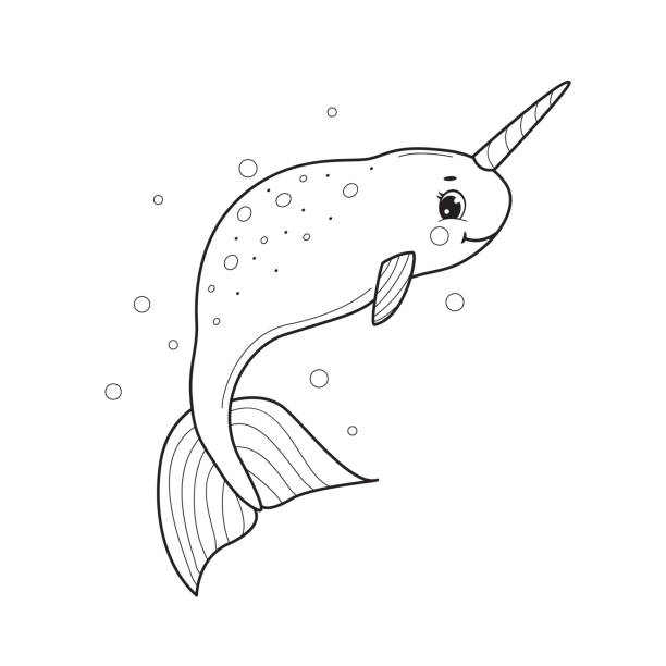 Narwhal for coloring book.Line art design for kids coloring page. Frog for coloring book.Line art design for kids coloring page. Coloring page outline of cartoon frog. printable of fish drawing stock illustrations