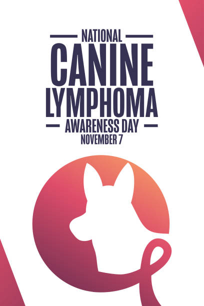 National Canine Lymphoma Awareness Day. November 7. Holiday concept. Template for background, banner, card, poster with text inscription. Vector EPS10 illustration. National Canine Lymphoma Awareness Day. November 7. Holiday concept. Template for background, banner, card, poster with text inscription. Vector EPS10 illustration international dog day stock illustrations