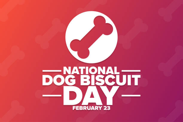 National Dog Biscuit Day. February 23. Holiday concept. Template for background, banner, card, poster with text inscription. Vector EPS10 illustration. National Dog Biscuit Day. February 23. Holiday concept. Template for background, banner, card, poster with text inscription. Vector EPS10 illustration international dog day stock illustrations