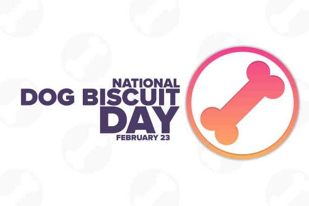 National Dog Biscuit Day. February 23. Holiday concept. Template for background, banner, card, poster with text inscription. Vector EPS10 illustration. National Dog Biscuit Day. February 23. Holiday concept. Template for background, banner, card, poster with text inscription. Vector EPS10 illustration international dog day stock illustrations