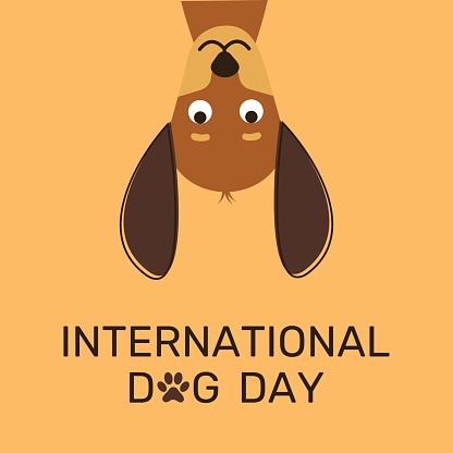 National Dog Day 26 August. Cartoon dachshund isolated vector illustration.