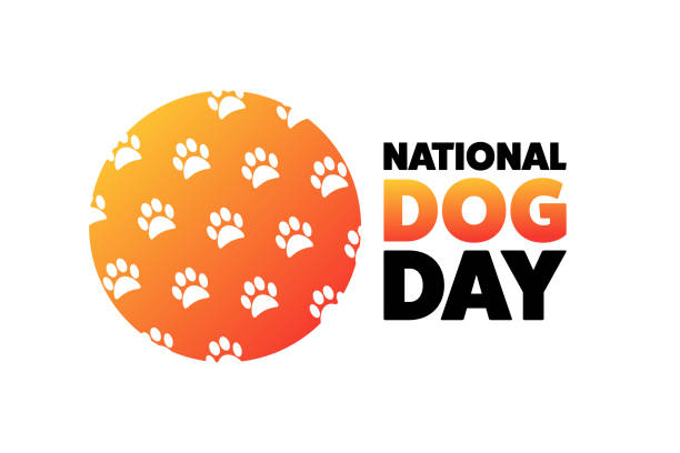 National Dog Day. August 26. Holiday concept. Template for background, banner, card, poster with text inscription. Vector EPS10 illustration. National Dog Day. August 26. Holiday concept. Template for background, banner, card, poster with text inscription. Vector EPS10 illustration national dog day stock illustrations