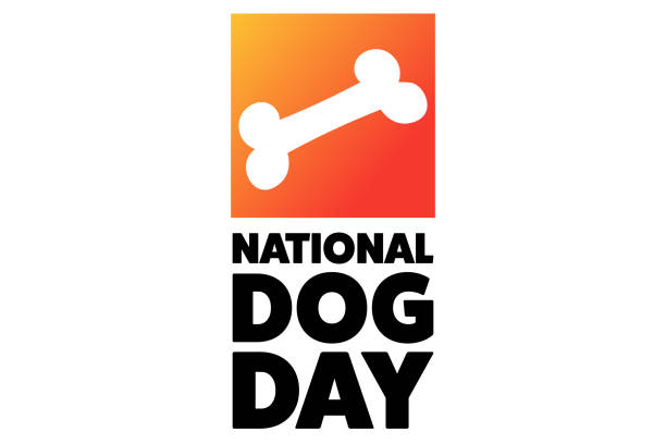 National Dog Day. August 26. Holiday concept. Template for background, banner, card, poster with text inscription. Vector EPS10 illustration. National Dog Day. August 26. Holiday concept. Template for background, banner, card, poster with text inscription. Vector EPS10 illustration national dog day stock illustrations