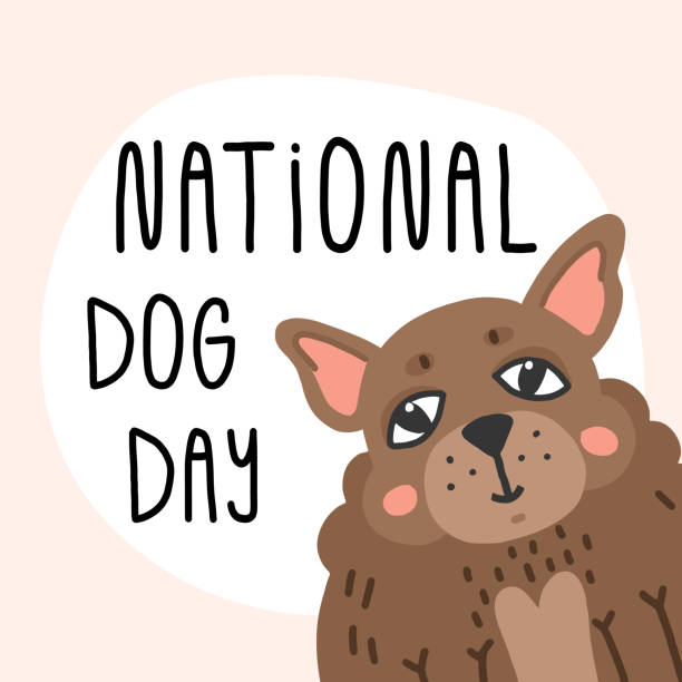 National dog day greeting card design. Hand lettering and cute fat smiling chihuahua puppy faithfully looking with his big eyes. Cartoon vector illustration. National dog day greeting card design. Hand lettering and cute fat smiling chihuahua puppy faithfully looking with his big eyes. Cartoon vector illustration. national dog day stock illustrations