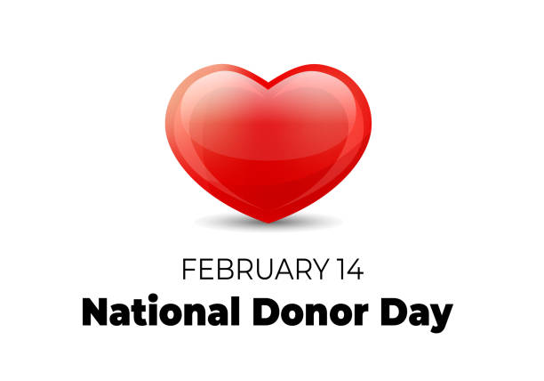 National Donor Day. Vector illustration with heart on white vector art illustration