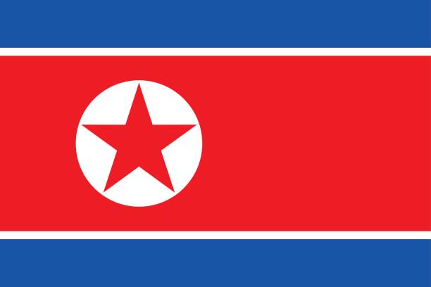 국립 국기 북한 - north korea stock illustrations