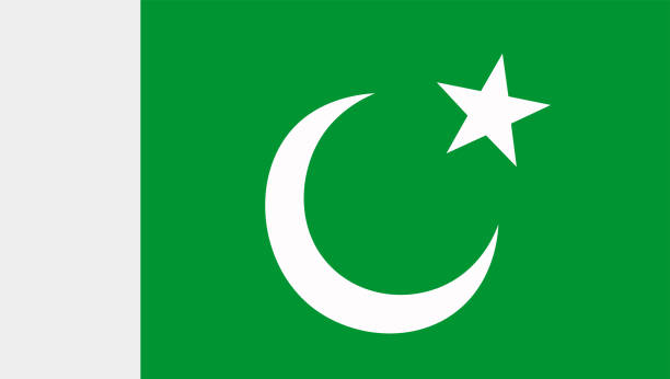 National Flag of Pakistan. Flag of the Crescent and Star. Vector Illustration. pakistani flag stock illustrations