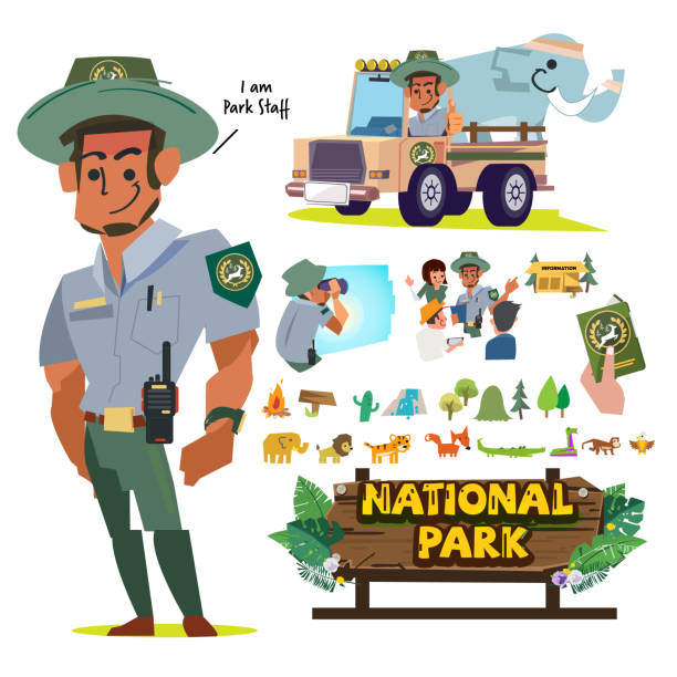국립 공원 서비스 직원 또는 직원, 산림 장교 문자 집합입니다. 국가 공원 개념에서 직업과 경력-벡터 - rangers stock illustrations