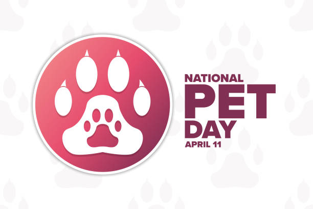 National Pet Day. April 11. Holiday concept. Template for background, banner, card, poster with text inscription. Vector EPS10 illustration. National Pet Day. April 11. Holiday concept. Template for background, banner, card, poster with text inscription. Vector EPS10 illustration national dog day stock illustrations