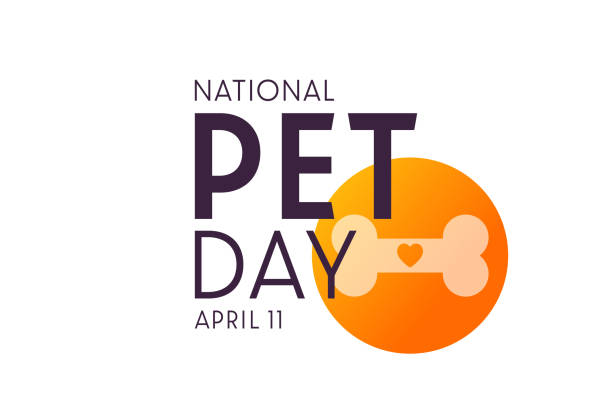 National Pet Day. April 11. Vector illustration. Holiday poster. National Pet Day. April 11. Vector illustration. Holiday poster international dog day stock illustrations