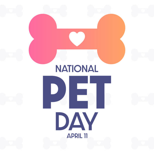 National Pet Day. April 11. Vector illustration. Holiday poster. National Pet Day. April 11. Vector illustration. Holiday poster international dog day stock illustrations