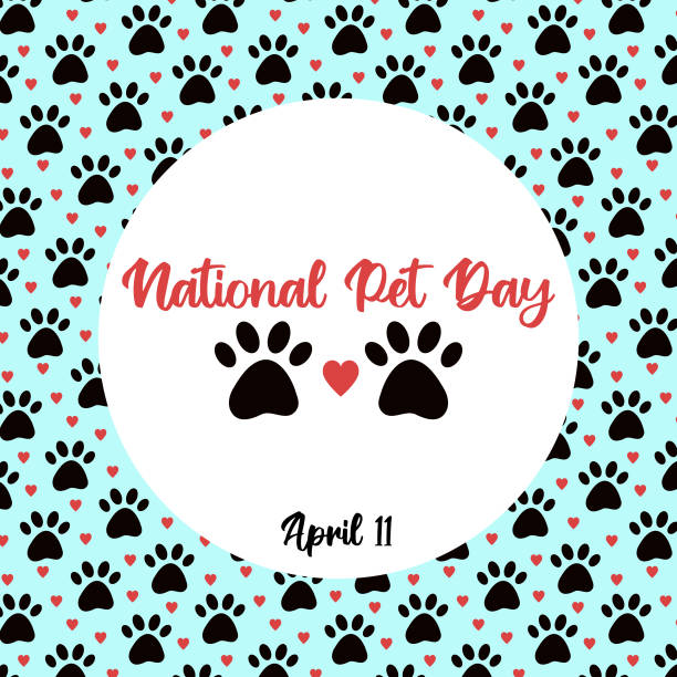 National Pet Day at April 11 greeting card, banner, post, template with round frame. Vector pattern with pet cat and dog paw, hearts. National Pet Day at April 11 greeting card, banner, post, template with round frame. Vector pattern with pet cat and dog paw, hearts. national dog day stock illustrations