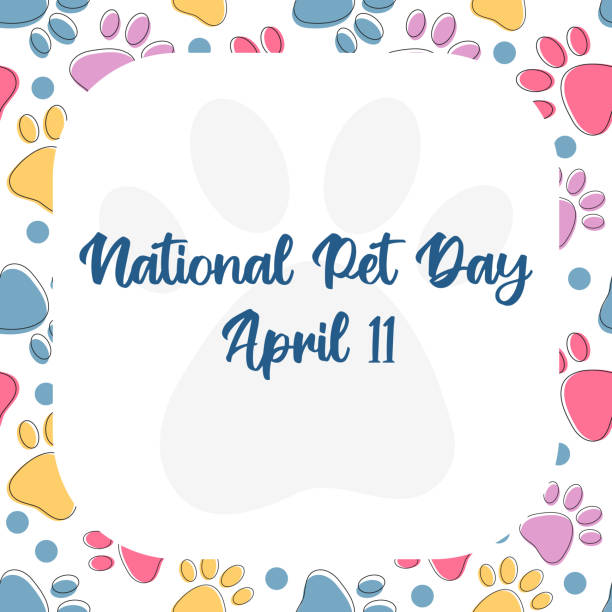 National Pet Day at April 11 greeting card, banner, post, template with copy space frame. Vector pattern with pet cat and dog paw. Cute seamless pattern texture with colorful pets paws on white. National Pet Day at April 11 greeting card, banner, post, template with copy space frame. Vector pattern with pet cat and dog paw. Cute seamless pattern texture with colorful pets paws on white. national dog day stock illustrations