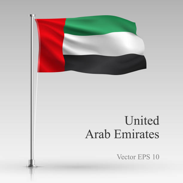 회색 배경에 고립 국가 아랍 에미리트 연방 플래그입니다. - uae flag stock illustrations