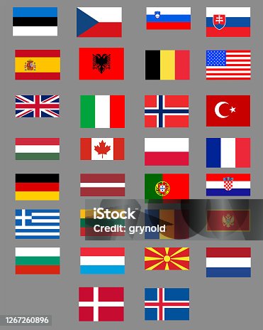 istock Nato flags 1267260896