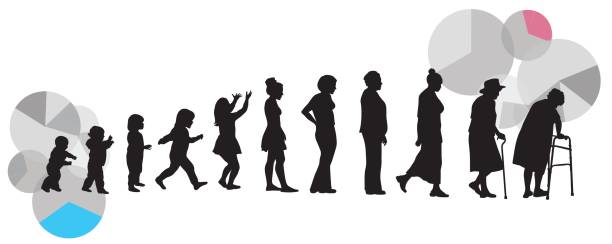 A vector silhouette illustration of the aging process of a girl baby to old woman.