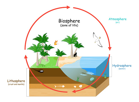 Biosphere is a zone of life on Earth. natural ecosystems with wildlife. Ecosphere (environment), Hydrosphere (water), Atmosphere (air), and Lithosphere (crust and the portion of the upper mantle). vector illustration for education
