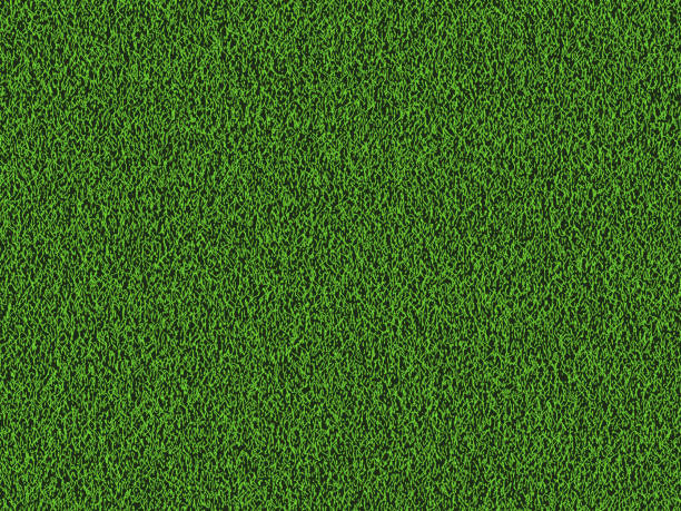 grass free brushes 1 737 free downloads