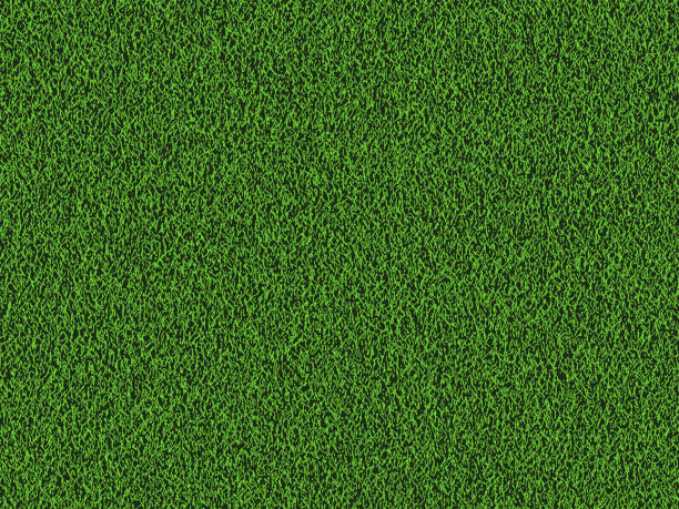 Natural grass texture background. Natural grass texture background in bright yellow green color tone. Top view. Vector eps10. grass patterns stock illustrations