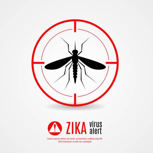 stockillustraties, clipart, cartoons en iconen met nature, aedes aegypti mosquitoes with stilt target. sights signal. - muggen