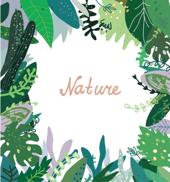 Nature background with wild plants - frame design, vector  illustration vector art illustration