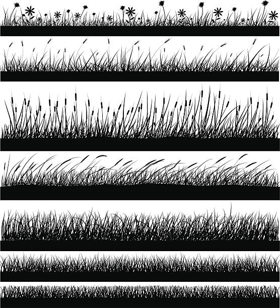 Nature Elements - Grass Grass background elements. grass drawings stock illustrations