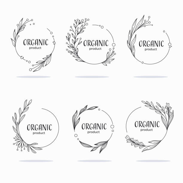 Nature, Organic, Bio, Nature doodle floral  leave emblems,  frames and logo Nature, Organic, Bio, Nature doodle floral  leave emblems,  frames and logo flower drawings stock illustrations