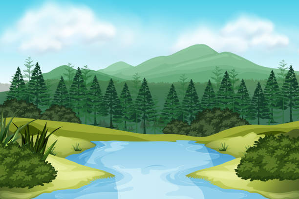 A nature stream view A nature stream view illustration river clipart stock illustrations