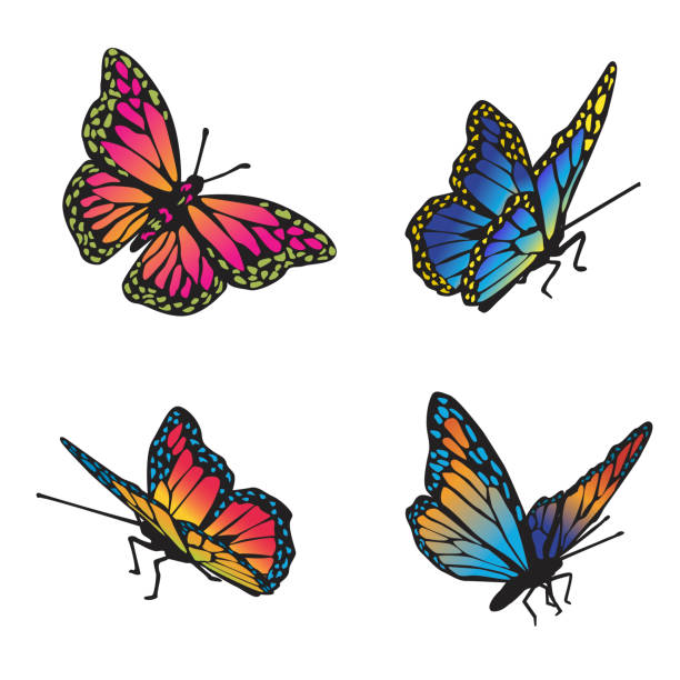 Neon Butterflies On A Transparent Background vector art illustration