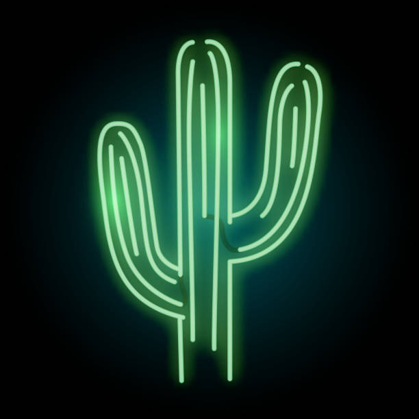 Neon Glowing Cactus Plant Light Sign vector art illustration