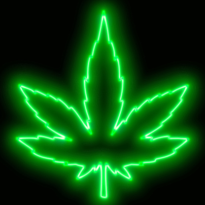 Neon retro marijuana leaf sign. Vector stock illustration.