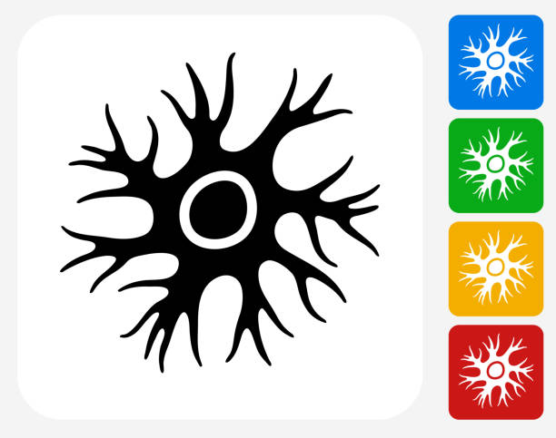 Nerve Cell Icon Flat Graphic Design Nerve Cell Icon. This 100% royalty free vector illustration features the main icon pictured in black inside a white square. The alternative color options in blue, green, yellow and red are on the right of the icon and are arranged in a vertical column. human nervous system stock illustrations