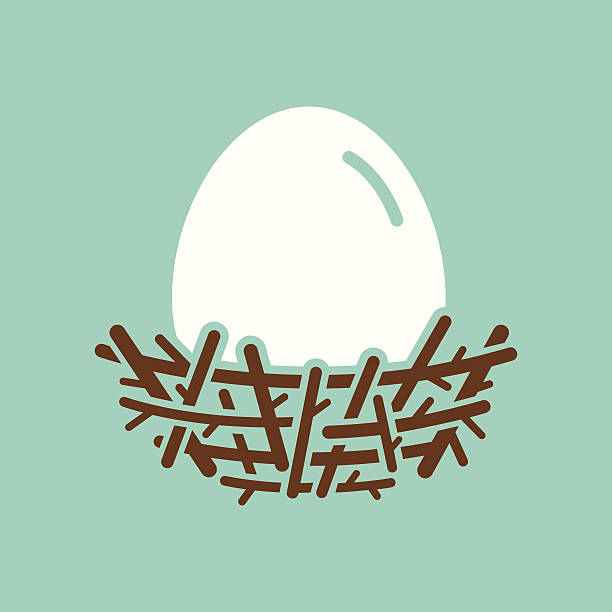 Nest With Egg Nest with egg icon. File type - EPS 10. animal nest stock illustrations