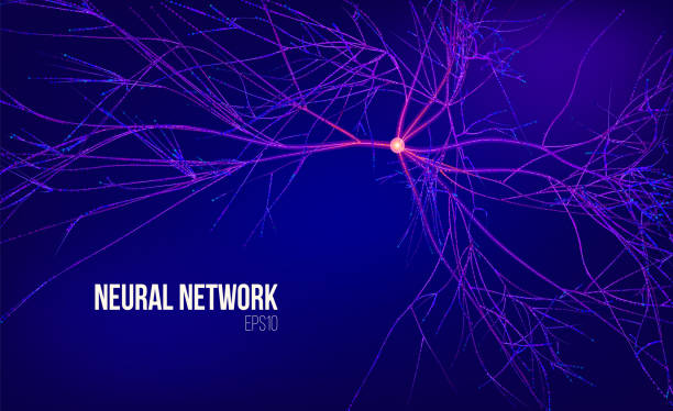 Neural network 3d abstract vector illustration. Data tree with root. Information stream. Kernel computing system Neural network 3d abstract vector illustration. Data tree with root. Information stream. Kernel computing system background human nervous system stock illustrations