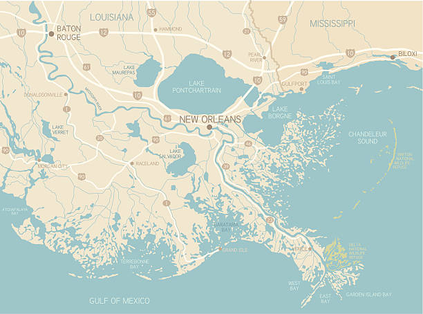 new orleans region - abd güney kıyısı eyaletleri stock illustrations