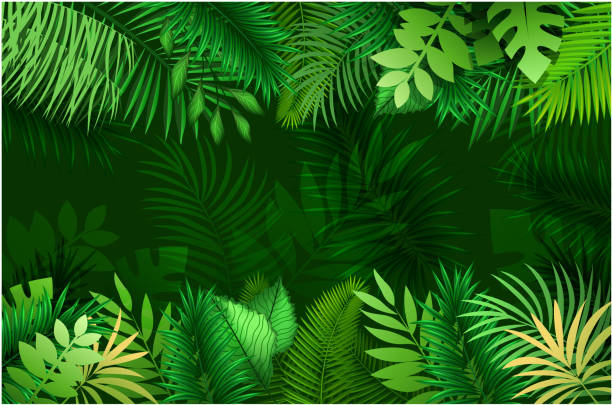 new tropical holiday banner Drawn of vector blank tropical holiday banner. This file of transparent and created by illustrator CS6. rainforest stock illustrations