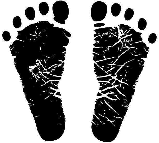 ilustrações de stock, clip art, desenhos animados e ícones de newborn baby footprints comemoração & preto branco vector conjunto de ícones - pes
