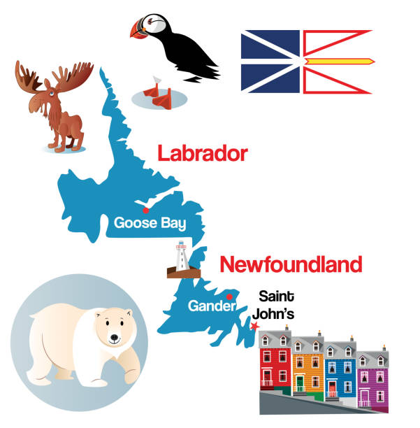 stockillustraties, clipart, cartoons en iconen met kaart van newfoundland en labrador - labrador
