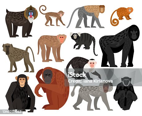 istock Nice big vector set of different cute Monkeys 1340237063