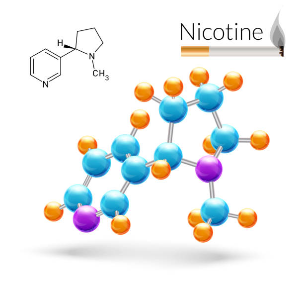 니코틴 분자 - 니코틴 stock illustrations