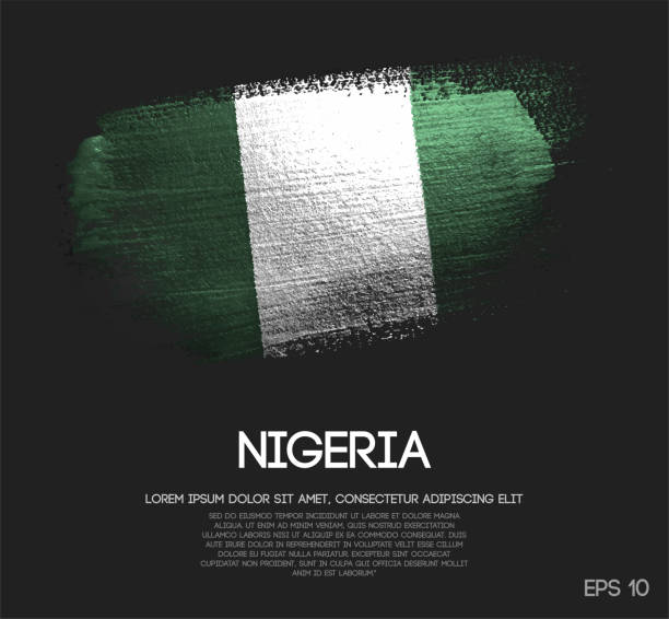 stockillustraties, clipart, cartoons en iconen met nigeria vlag gemaakt van glitter sparkle brush verf vector - nigeria