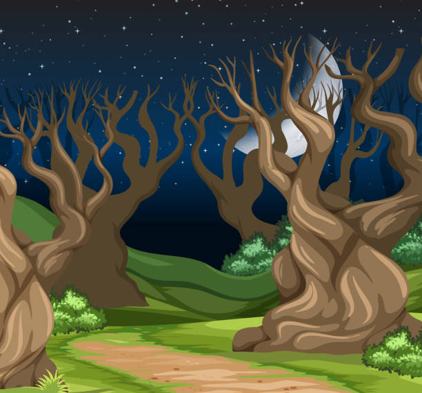 A night forest landscape illustration