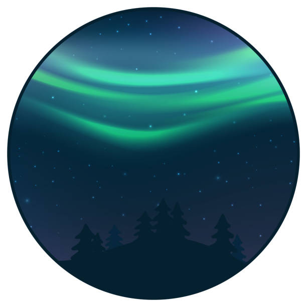 stockillustraties, clipart, cartoons en iconen met nachtelijke hemel met aurora over vuren bos in de winter, groene noordelijk licht met sterren, polar licht gloeien, polar streamers. vector - northern light