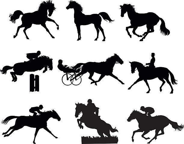 stockillustraties, clipart, cartoons en iconen met nine horses silhouettes - equestrian - jumping