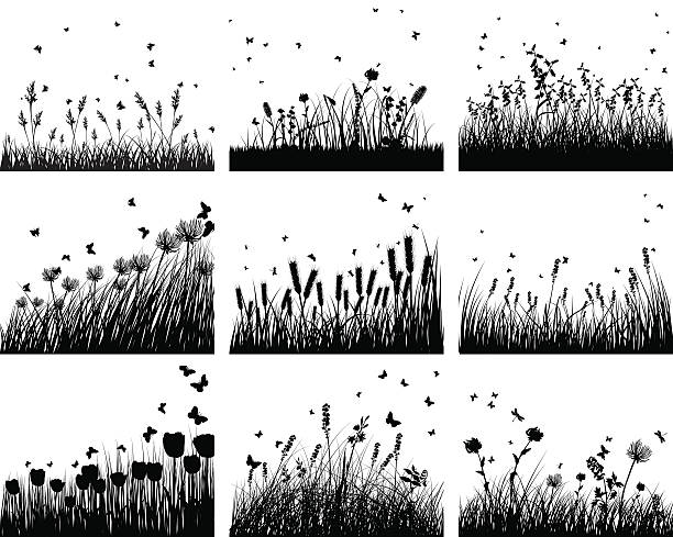 nine meadow backgrounds Set of nine meadow background. Vector illustration. flower silhouettes stock illustrations