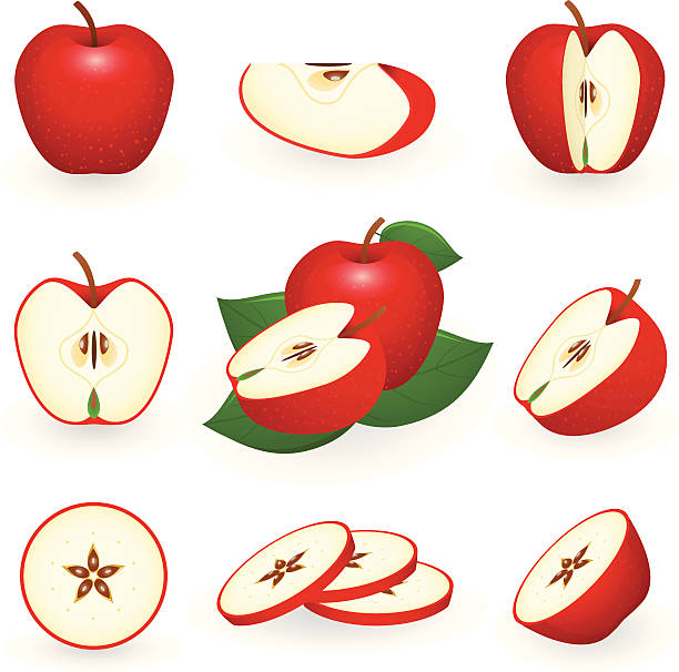 Apple Slice Illustrations, RoyaltyFree Vector Graphics