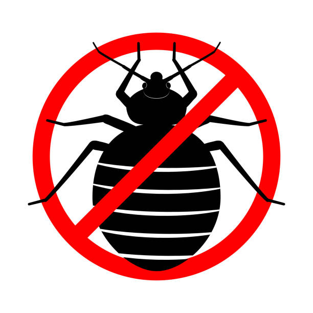 No bed bugs. Anti bedbug. Insect prohibition sign. Pest control sign. Cimicidae icon. Red crossed circle with a bloodsucker. Disinfection symbol. Vector flat illustration. Black drawing on white No bed bugs. Anti bedbug. Insect prohibition sign. Pest control sign. Cimicidae icon. Red crossed circle with a bloodsucker. Disinfection symbol. Vector flat illustration. Black drawing on white bed furniture borders stock illustrations