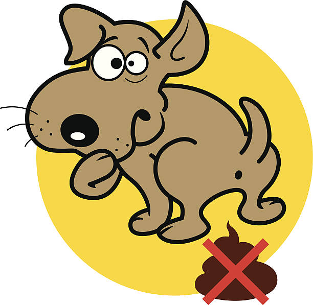 Royalty Free Dog Pooping Clip Art, Vector Images & Illustrations - iStock