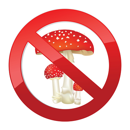 No toadstool sign.  Death-cup mushroom.